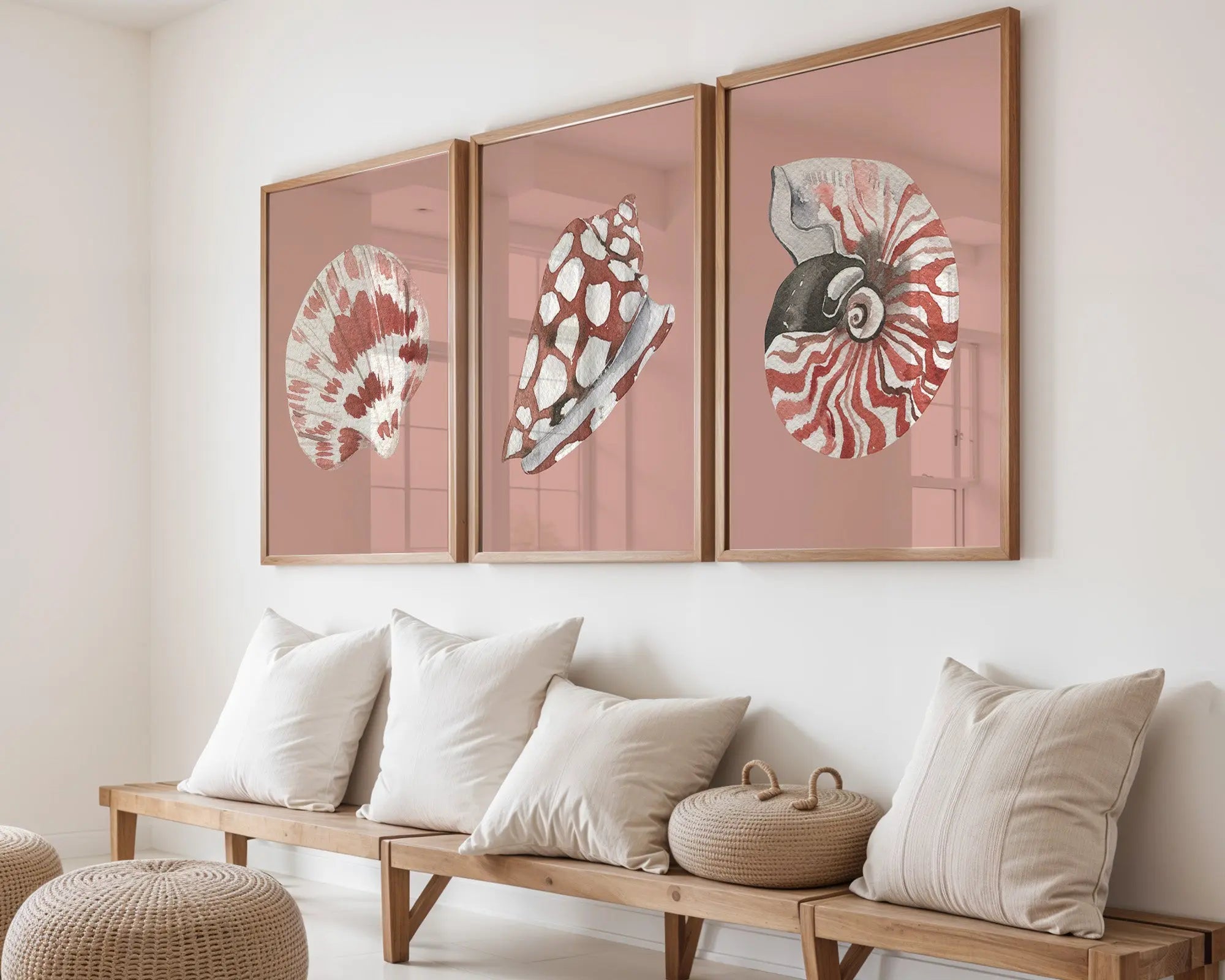 Colourful Prints | Coral Seashell Art Print Set | Vintage Ocean Wall Decor (Set of 3) wall art print, modern home decor, unframed artwork by Nomad & Nest