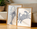Colourful Prints | Nautical Lobster and Crab Art Prints | Coastal Marine Life Set (Set of 2) wall art print, modern home decor, unframed artwork by Nomad & Nest