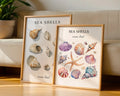 Colourful Prints | Seashell & Starfish Watercolour Prints | Beach Bathroom Art (Set of 2) wall art print, modern home decor, unframed artwork by Nomad & Nest