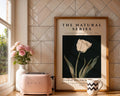 White Tulip Print • Elegant Botanical Wall Art, Modern Interiors wall art print, modern home decor, unframed artwork by Nomad & Nest
