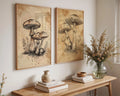 Mushroom Wall Art Prints (Set of 2) | Vintage Botanical Illustration wall art print, modern home decor, unframed artwork by Nomad & Nest