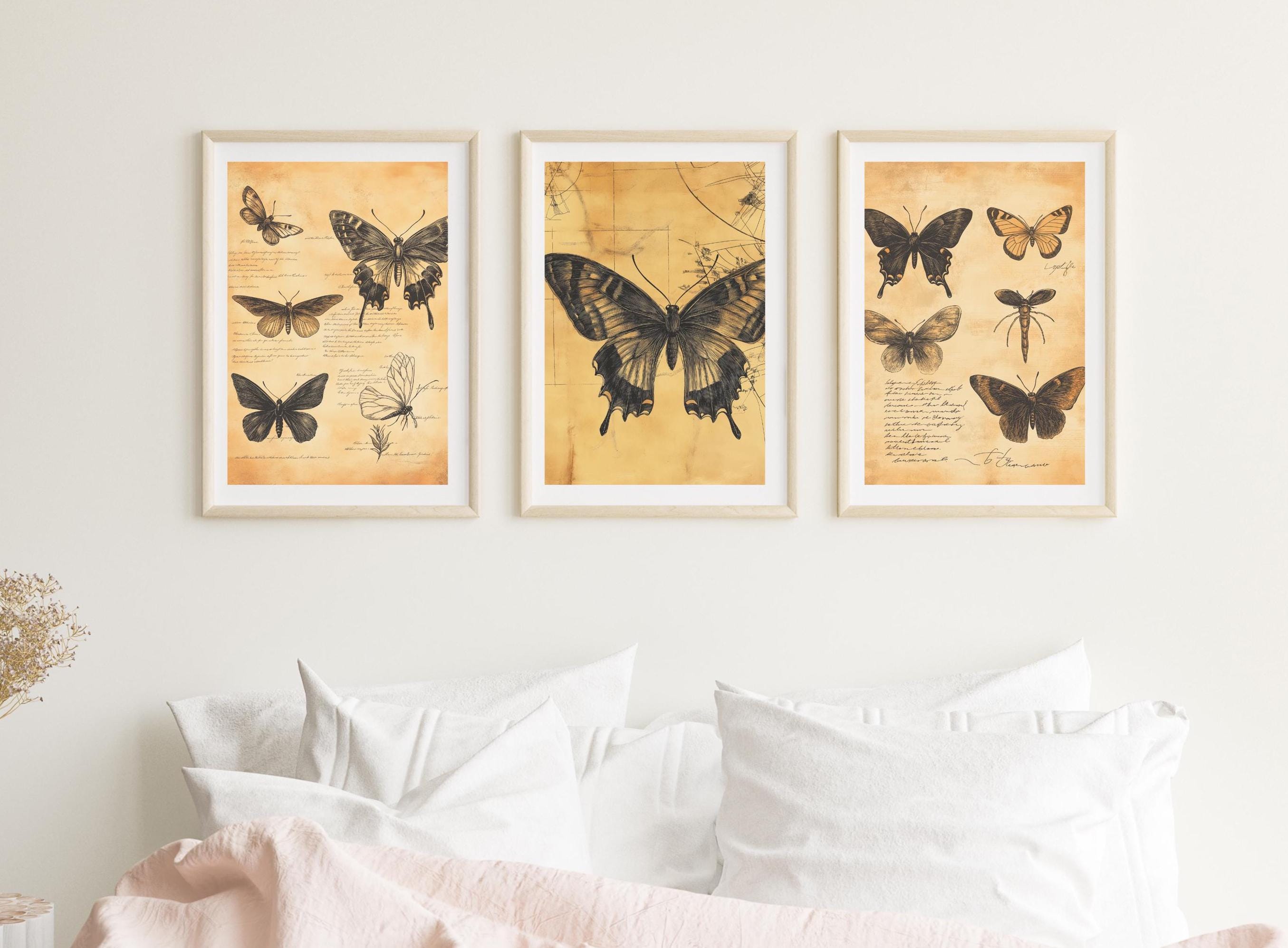 Butterfly Wall Art Set | Antique Botanical Prints, Neutral Decor wall art print, modern home decor, unframed artwork by Nomad & Nest
