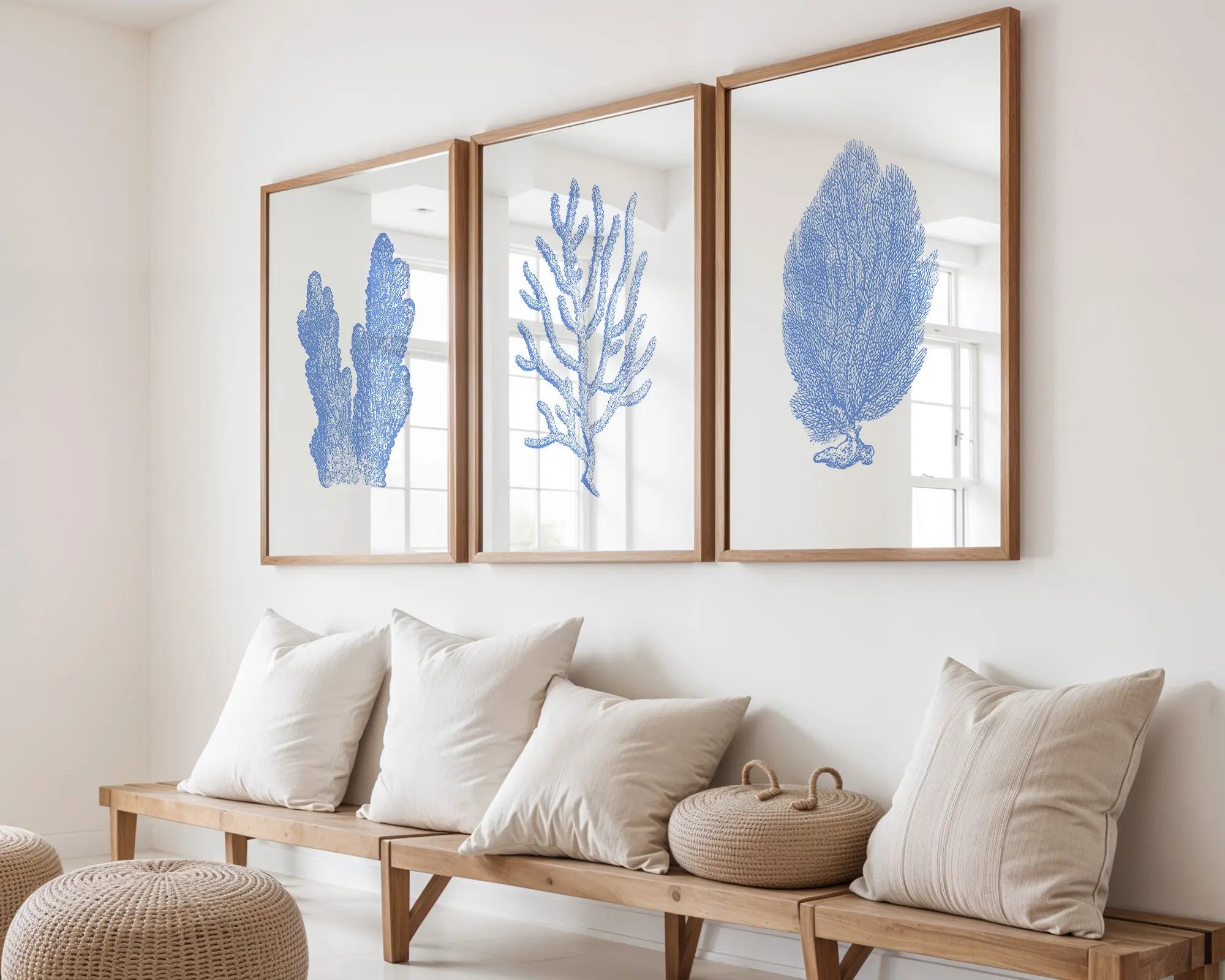 Colourful Prints | Blue Coral Prints | Coastal Botanical Wall Art (Set of 3) wall art print, modern home decor, unframed artwork by Nomad & Nest