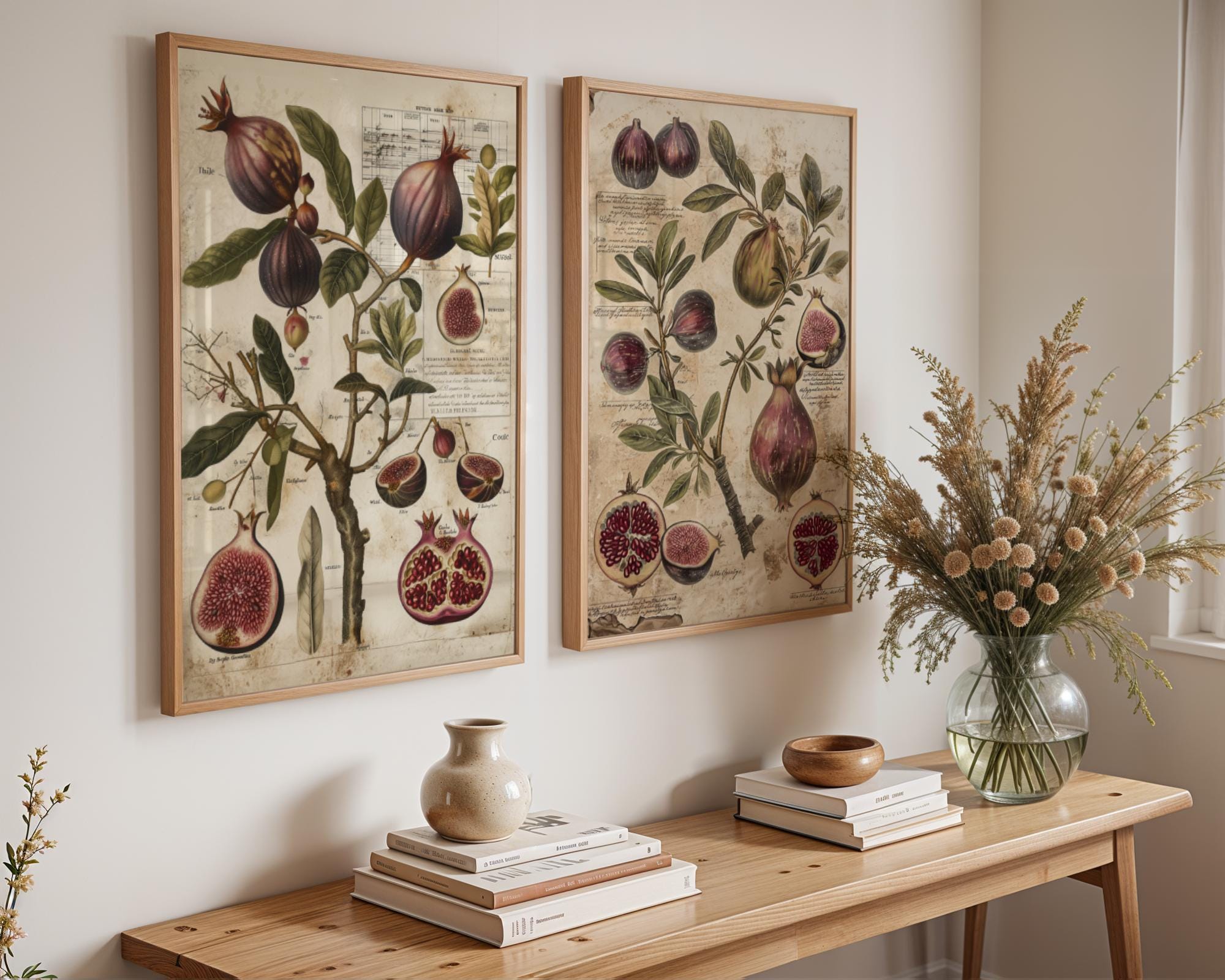 Vintage Fruit Print Set | Fig and Pomegranate Botanical Art wall art print, modern home decor, unframed artwork by Nomad & Nest