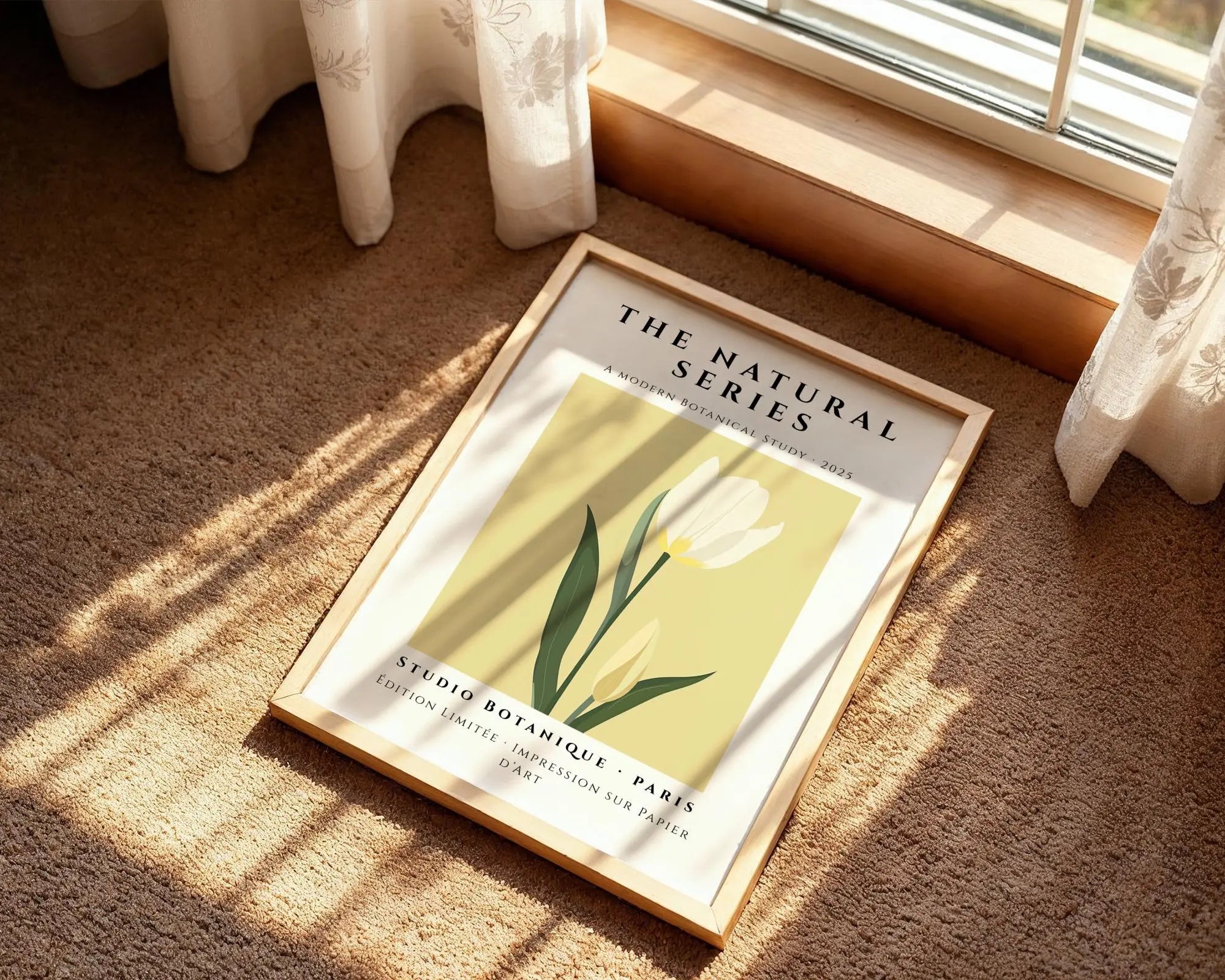 White Tulip Botanical Print • Modern Minimalist Wall Art wall art print, modern home decor, unframed artwork by Nomad & Nest