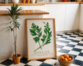 Parsley Botanical Print • Green Herb Watercolor Kitchen Art wall art print, modern home decor, unframed artwork by Nomad & Nest