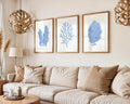 Colourful Prints | Blue Coral Prints | Coastal Botanical Wall Art (Set of 3) wall art print, modern home decor, unframed artwork by Nomad & Nest