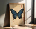 Japanese Poster | Vintage Blue Butterfly Print –  Botanical Wall Art wall art print, modern home decor, unframed artwork by Nomad & Nest