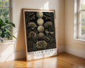 William Morris Print Moon Phase Botanical Art  | Arts & Crafts Poster wall art print, modern home decor, unframed artwork by Nomad & Nest