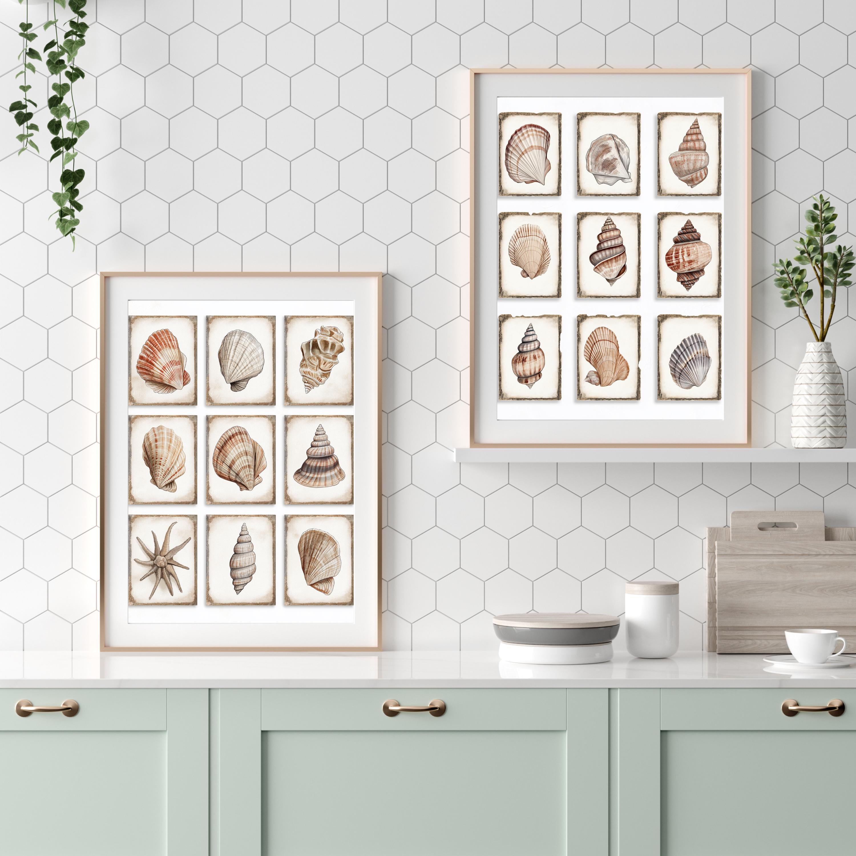 Seashell Wall Art Prints Set | Coastal Beach House Decor wall art print, modern home decor, unframed artwork by Nomad & Nest
