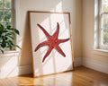 Bright Red Starfish Print, Coastal Sea Life Poster wall art print, modern home decor, unframed artwork by Nomad & Nest