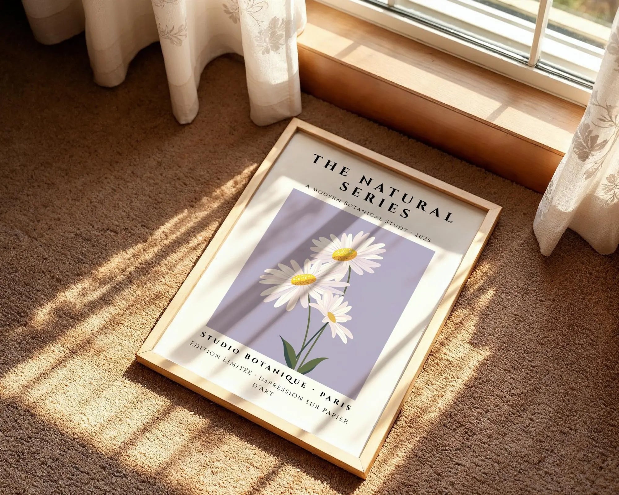 Daisy Flower Print • Minimalist Botanical Art, Studio Botanique wall art print, modern home decor, unframed artwork by Nomad & Nest