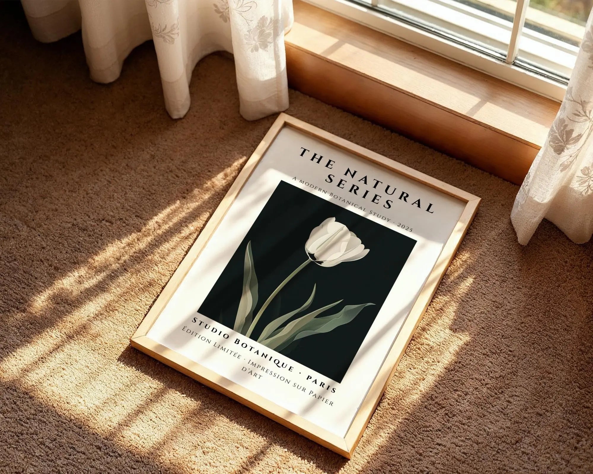 White Tulip Print • Elegant Botanical Wall Art, Modern Interiors wall art print, modern home decor, unframed artwork by Nomad & Nest