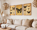 Butterfly Wall Art Set | Antique Botanical Prints, Neutral Decor wall art print, modern home decor, unframed artwork by Nomad & Nest