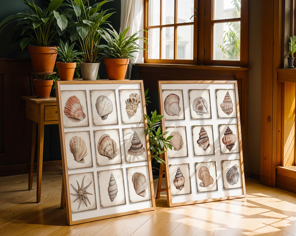 Seashell Wall Art Prints Set | Coastal Beach House Decor wall art print, modern home decor, unframed artwork by Nomad & Nest