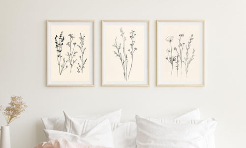Botanical Line Art Prints Set | Black & White Wildflower Decor wall art print, modern home decor, unframed artwork by Nomad & Nest