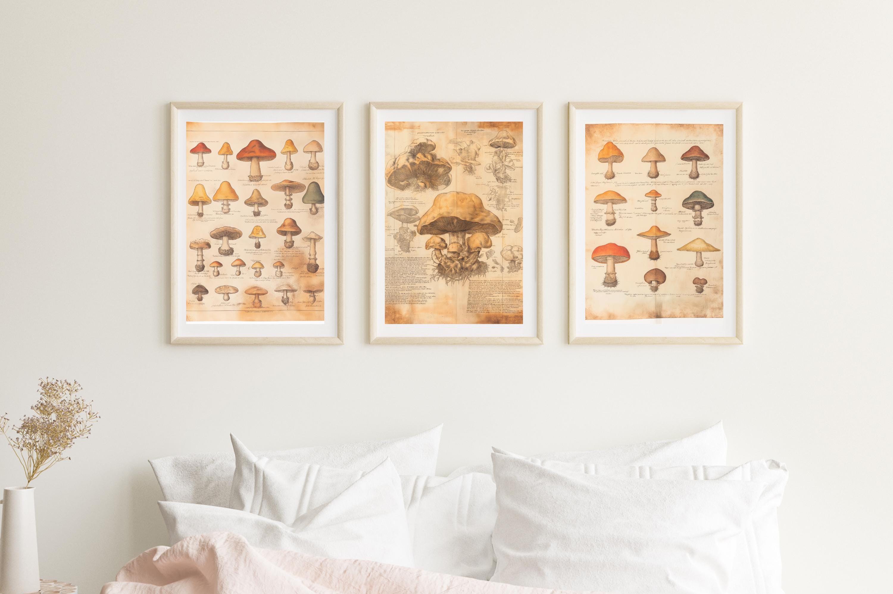Vintage Mushroom Print Set – Antique Fungi Botanical Wall Art wall art print, modern home decor, unframed artwork by Nomad & Nest