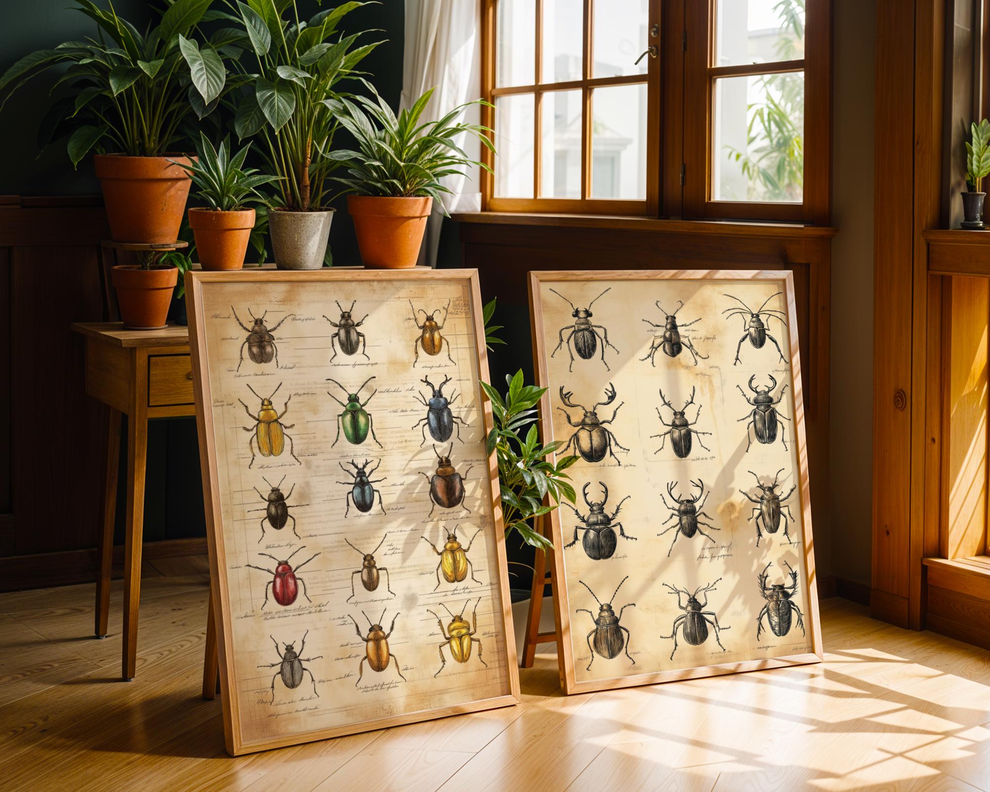 Vintage Beetle Print Set | Entomology Wall Art, Rustic Cottage Decor wall art print, modern home decor, unframed artwork by Nomad & Nest
